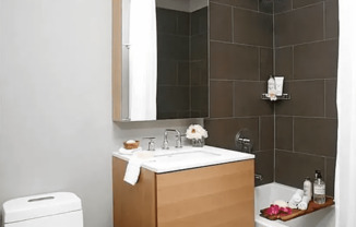 Studio, 1 bath, 460 sqft, $3,600, Unit 10E