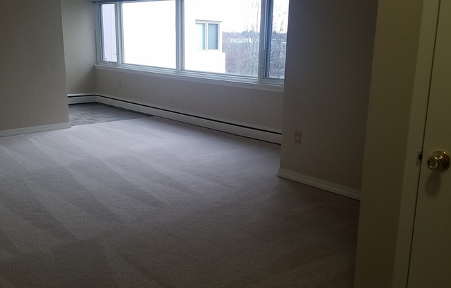 1 bed, 1 bath, 589 sqft, $1,375, Unit 507