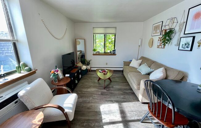 1 bed, 1 bath, $1,095, Unit 309