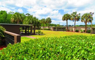 Golden Shores of Jacksonville