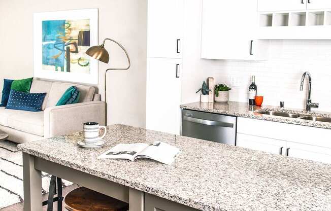 Modern kitchen with sleek stainless steel appliances, granite countertops, a built-in dishwasher, and a stylish gas range. Minnetonka, MN.