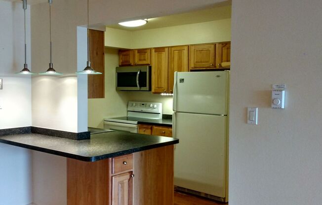 1 bed, 1 bath, $1,750, Unit Unit 156