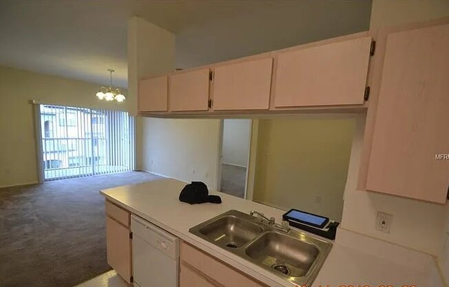 13205 SANCTUARY CV DR