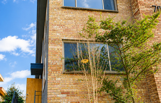 24th Ave NW - Located in Vibrant Ballard