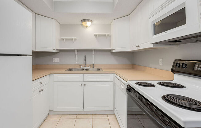 6561 MSN CT