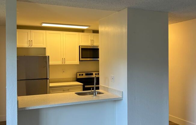 1 bed, 1 bath, $2,550, Unit 304