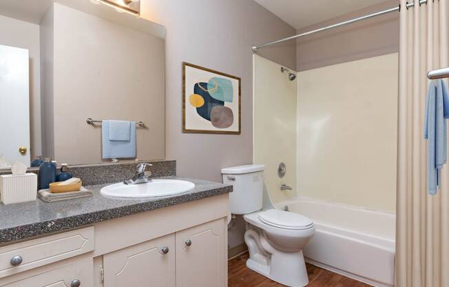 a bathroom with a sink toilet and a bath tub