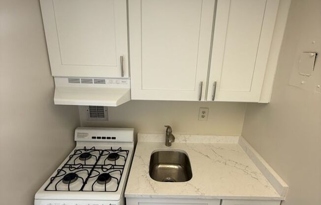 Updated Studio Apartment with AMAZING D.C. View