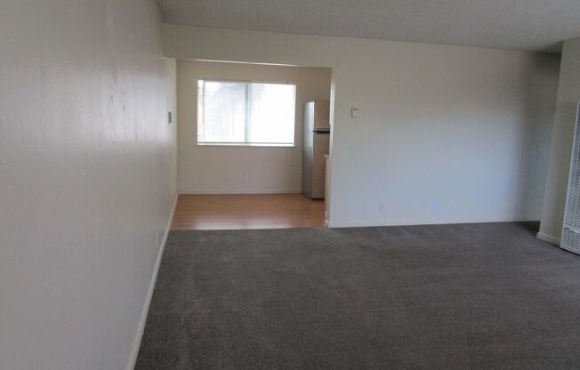 WEBSTER, 405