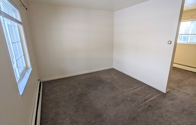 Studio Apartment in Speedway!