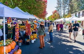 Find your perfect home at Modera Beaverton! Just 0.5 miles from the Beaverton Farmers Market, enjoy fresh produce, artisanal goods, and more.