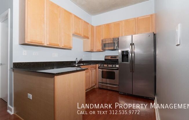 1305 South Michigan Avenue