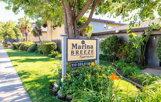 Marina Breeze Apartments
