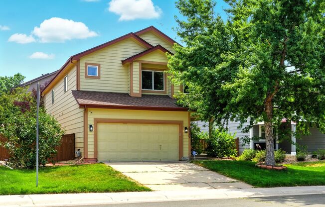 Amazing 3 Bed 4 Bath Highlands Ranch House For Rent!