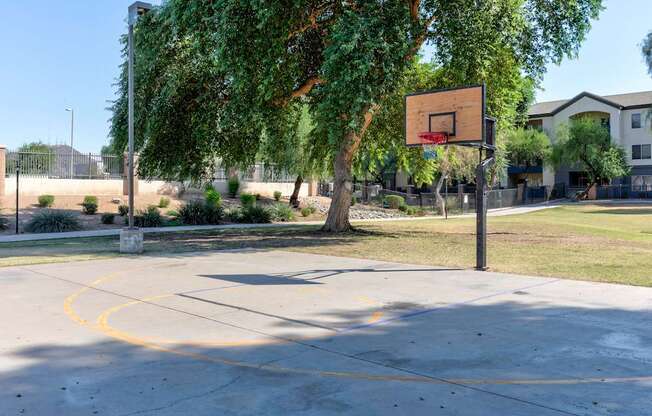 A basketball court with a hoop and a tree in the background.