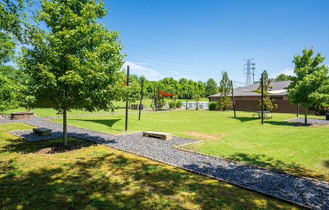 Large Green Space with Sun Canopies