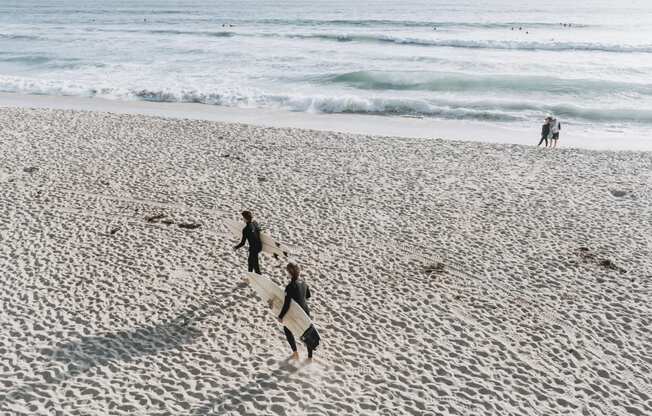 three surfers walking on the beach with their surfboards