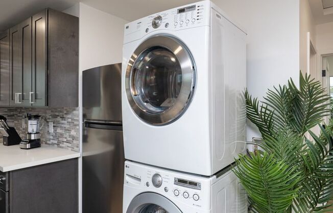 New Charming ADU!!! 1 Bed/1 Bath 490 Sq. Ft. $2,300/mo.
