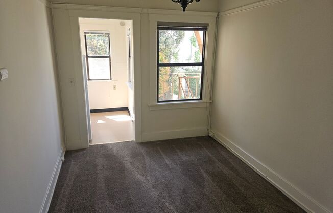 Studio, 1 bath, 234 sqft, $1,295, Unit 203