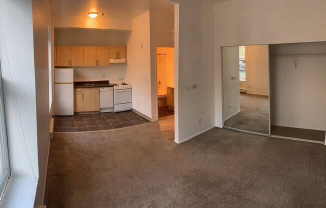 Studio, 1 bath, 315 sqft, $1,200