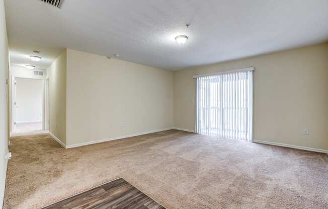 The Commons Apartments in Tampa Florida photo of living room with plush carpets