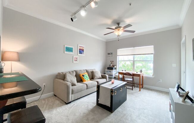 Nantucket Walk #314 - Dog Friendly!