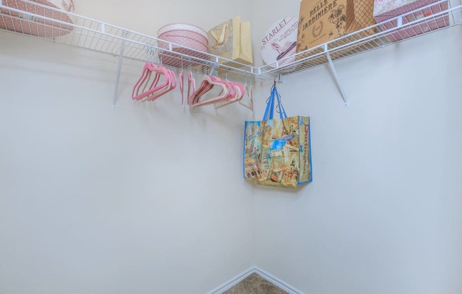 a closet with a rack and bags hanging on the wall