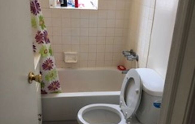 1 bed, 1 bath, 352 sqft, $1,090, Unit 302