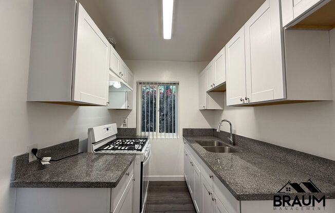 Studio, 1 bath, 500 sqft, $1,550, Unit 10