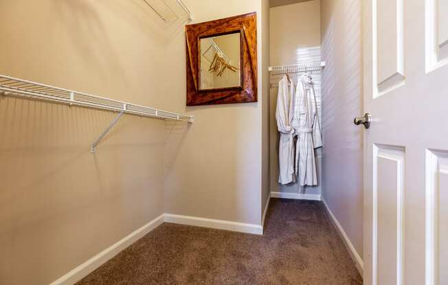 Walk-in closets - Springbrook Apartments