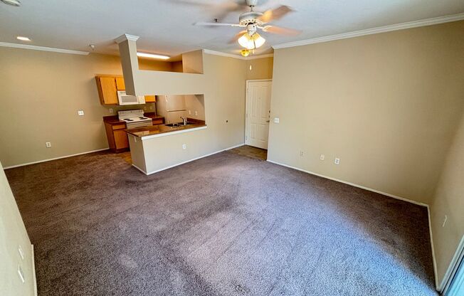 1 bed, 1 bath, $1,295, Unit # 1713