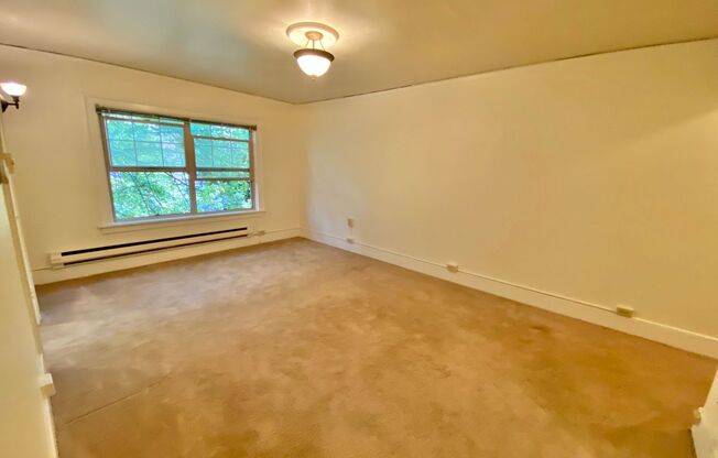 Studio, 1 bath, 437 sqft, $1,395, Unit 209