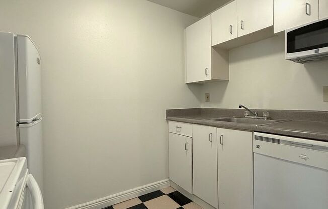 1 bed, 1 bath, 504 sqft, $1,425, Unit 117