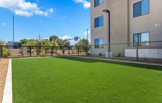 A fenced outdoor dog park here at Reflect at Dobson Ranch featuring a spacious stretch of green turf bordered by clean concrete edges, modern black fencing, and surrounding desert landscaping, with nearby apartment buildings, young trees, and a bright blue sky creating an open, pet-friendly setting.