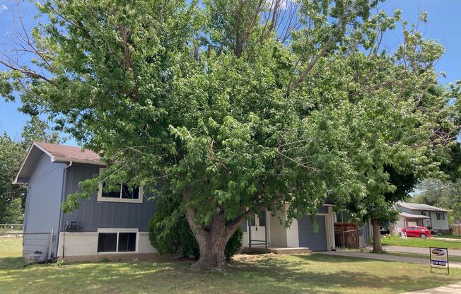 Newly Remodeled 4 Bedroom with AC!
