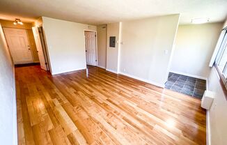 1 bed, 1 bath, 540 sqft, $1,645, Unit 203