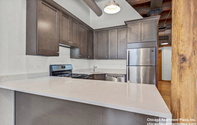 216 N May St, Chicago IL 303