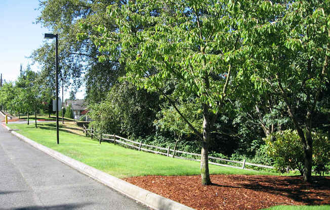A tree-lined street with a sidewalk and a fence.
