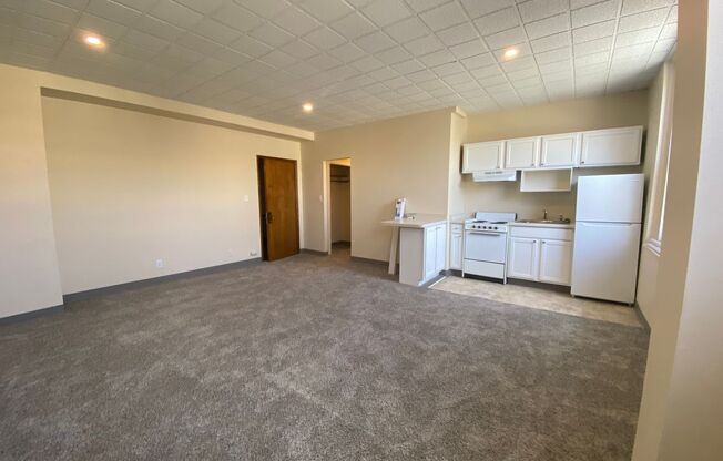 Studio, 1 bath, $865, Unit 392
