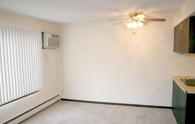 Studio, 1 bath, 450 sqft, $900, Unit 1109