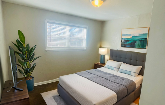 5th Avenue Apartments