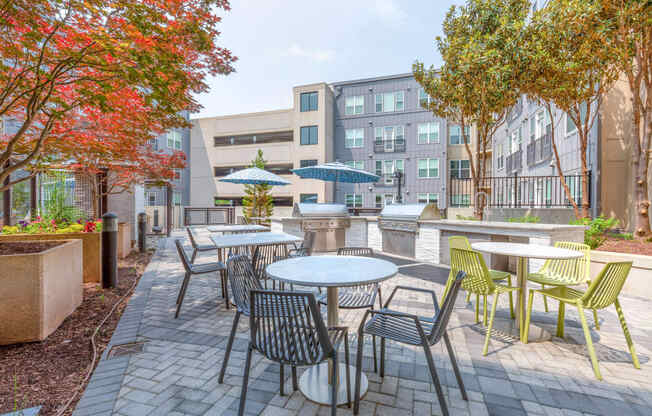 our apartments showcase a naturally well lit patio