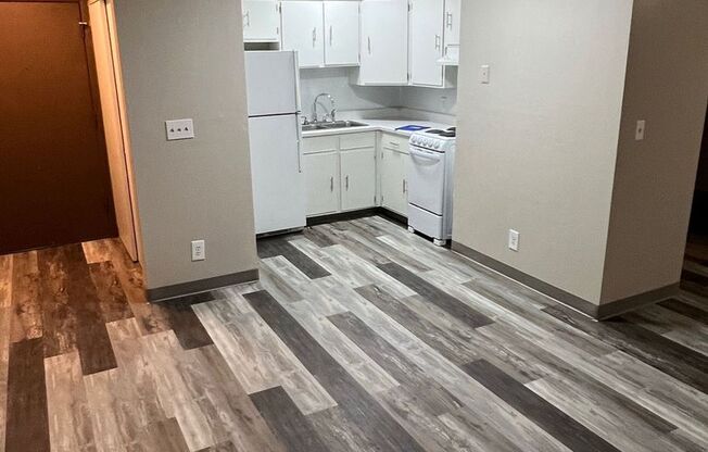 Studio, 1 bath, 462 sqft, $725, Unit DB1-1