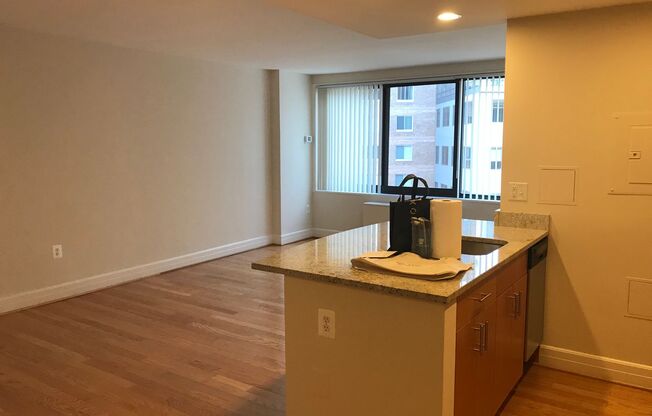 Studio, 1 bath, 440 sqft, $2,500, Unit 0719