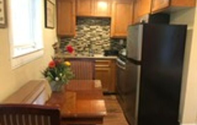 1 bed, 1 bath, $1,300, Unit Unit 1