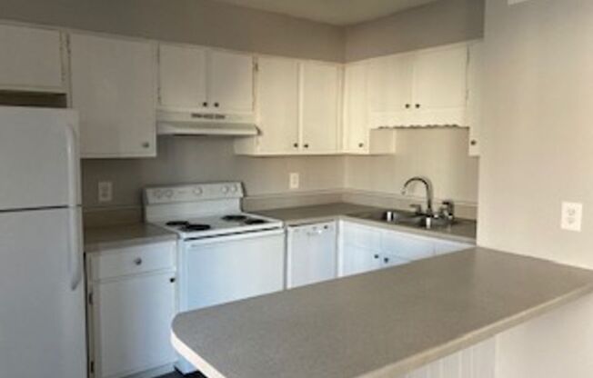1 bed, 1 bath, 635 sqft, $1,095, Unit 2529