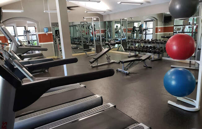 A gym with treadmills, dumbbells, and exercise balls.
