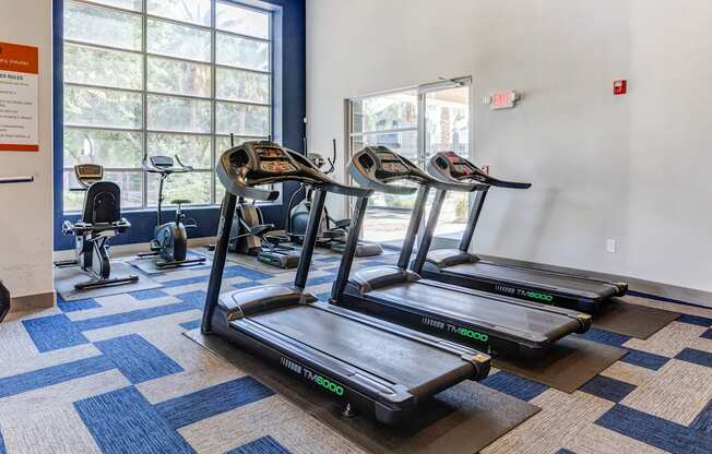 A gym with treadmills and elliptical machines.