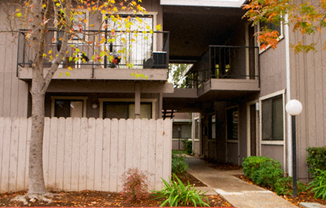 Courtyard Cottages