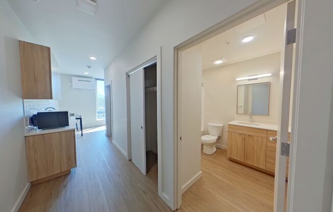 Studio, 1 bath, 314 sqft, $1,250, Unit 412